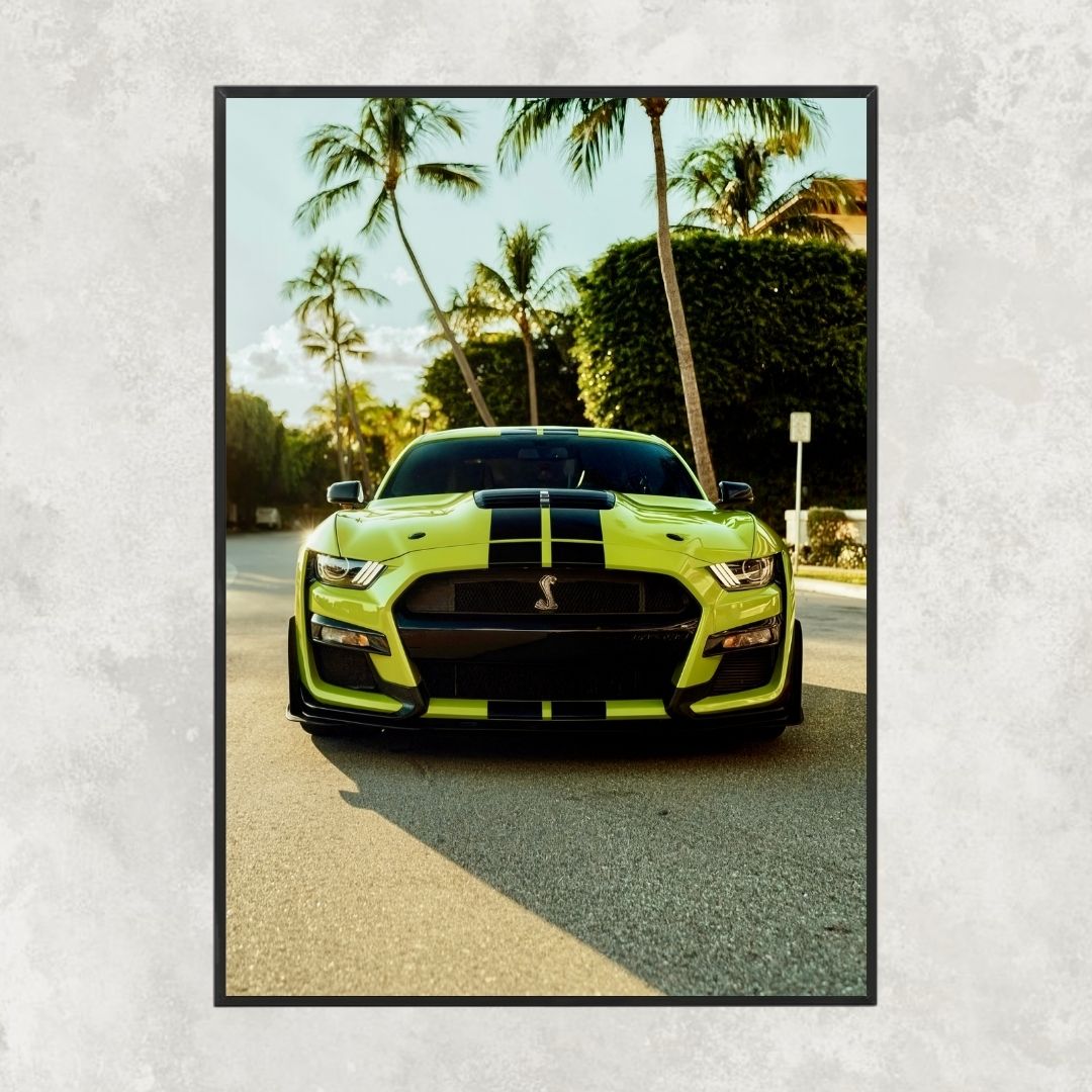 Ford Mustang Shelby GT500 - Gallery