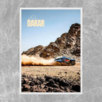Carlos Sainz Rally Dakar - Gallery