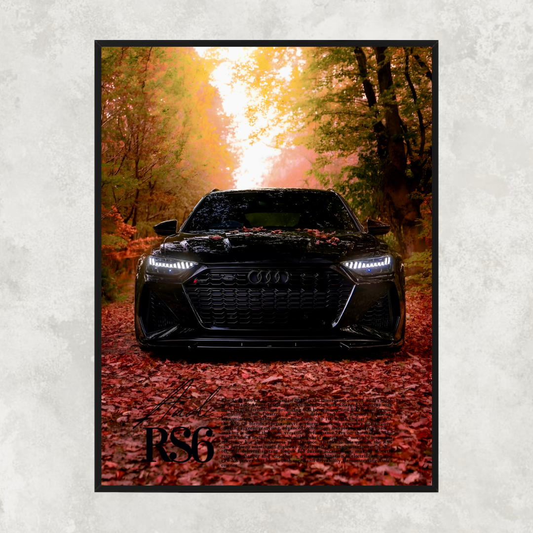Audi RS6 C8 Black - Old money