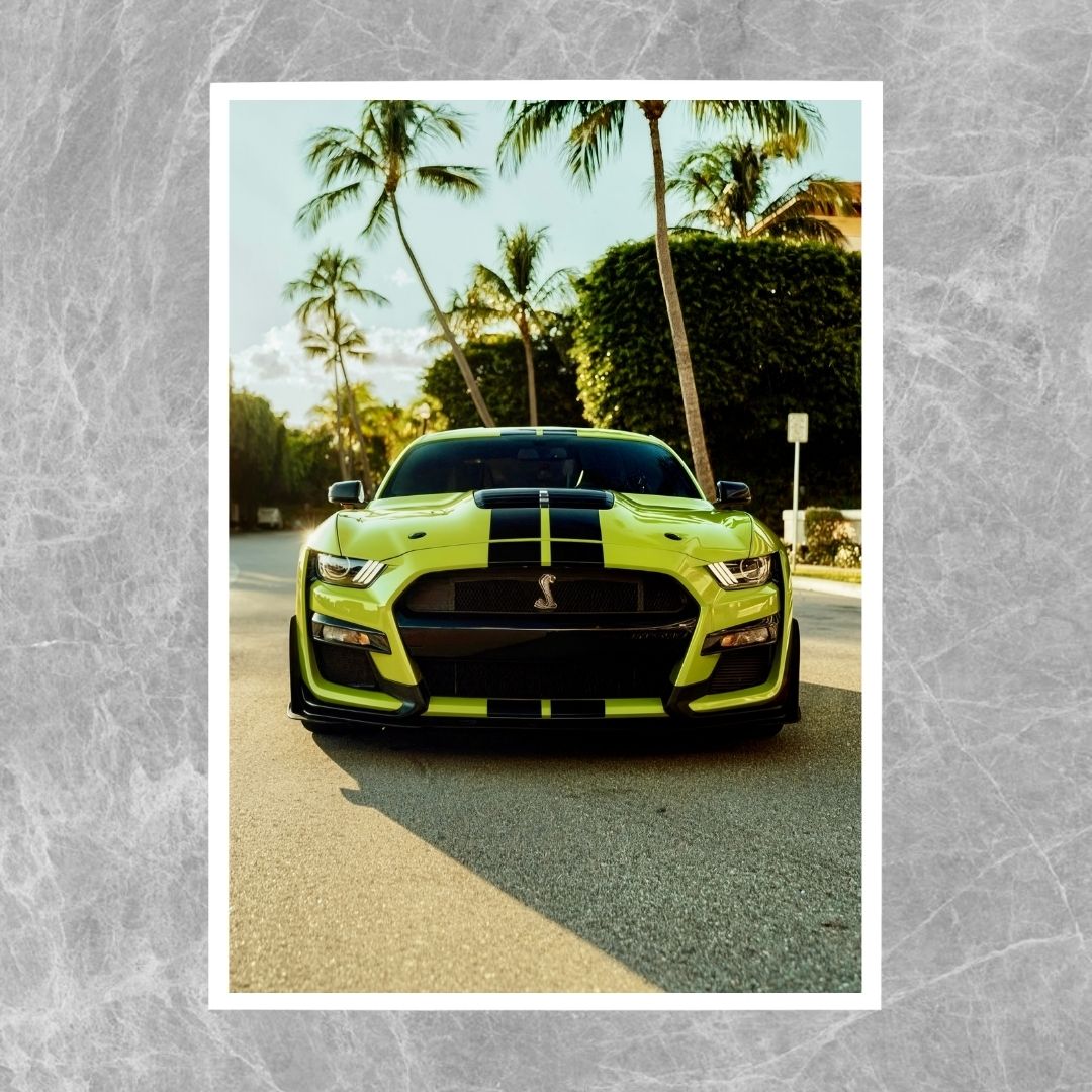 Ford Mustang Shelby GT500 - Gallery