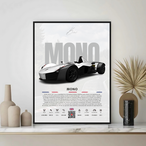 Bac Mono - Descriptive