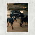 Mercedes AMG G63 Dog - Gallery