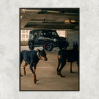 Mercedes AMG G63 Dog - Gallery