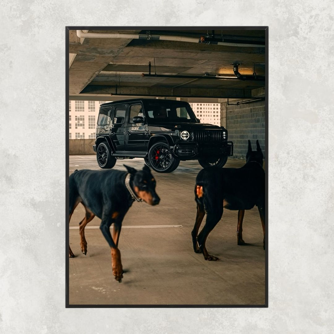 Mercedes AMG G63 Dog - Gallery