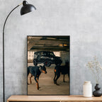 Mercedes AMG G63 Dog - Gallery