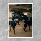 Mercedes AMG G63 Dog - Gallery