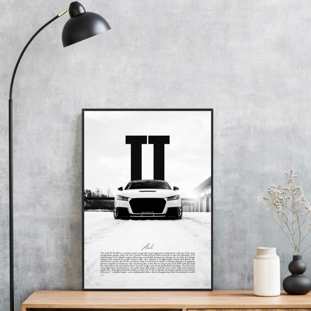 Audi TT RS 8S White - Gallery