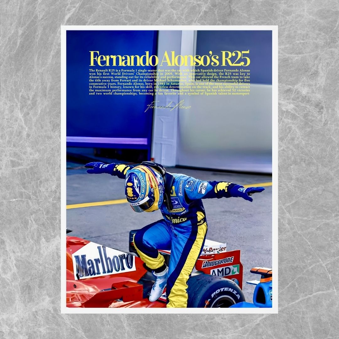 Fernando Alonso Renault R25 F1 - Old money