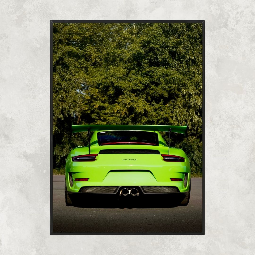 Porsche 911 GT3 RS 991 Rear - Gallery