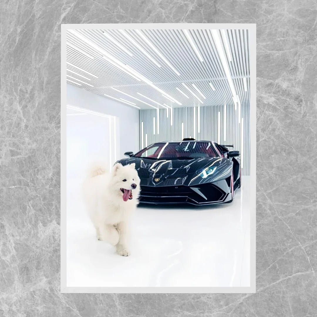 Lamborghini Aventador SVJ Hund – Galerie