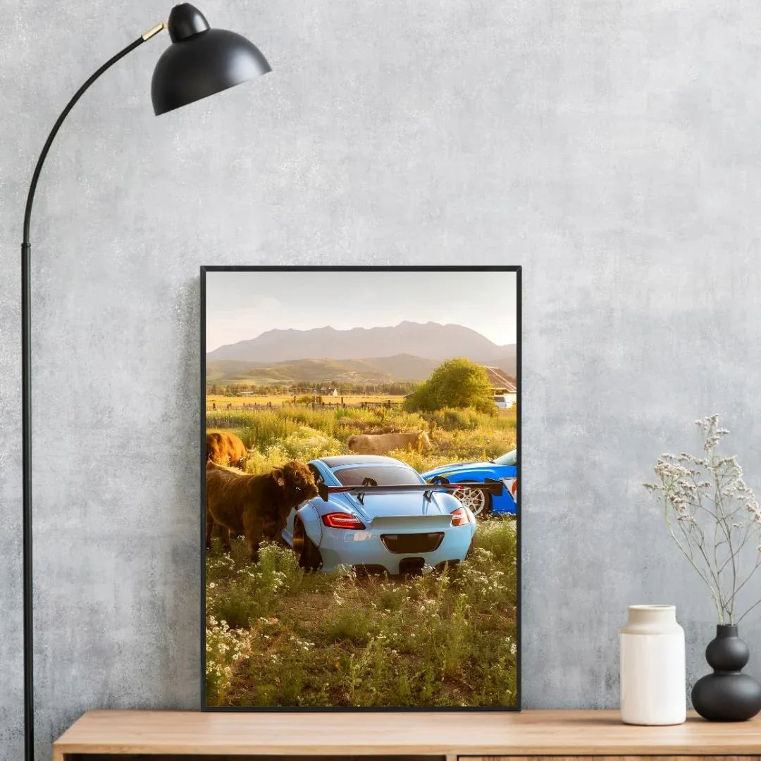 Porsche Cayman Pandem Rear - Gallery