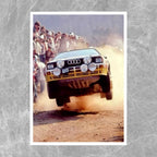 Audi Quattro S1 E2 Flying - Gallery
