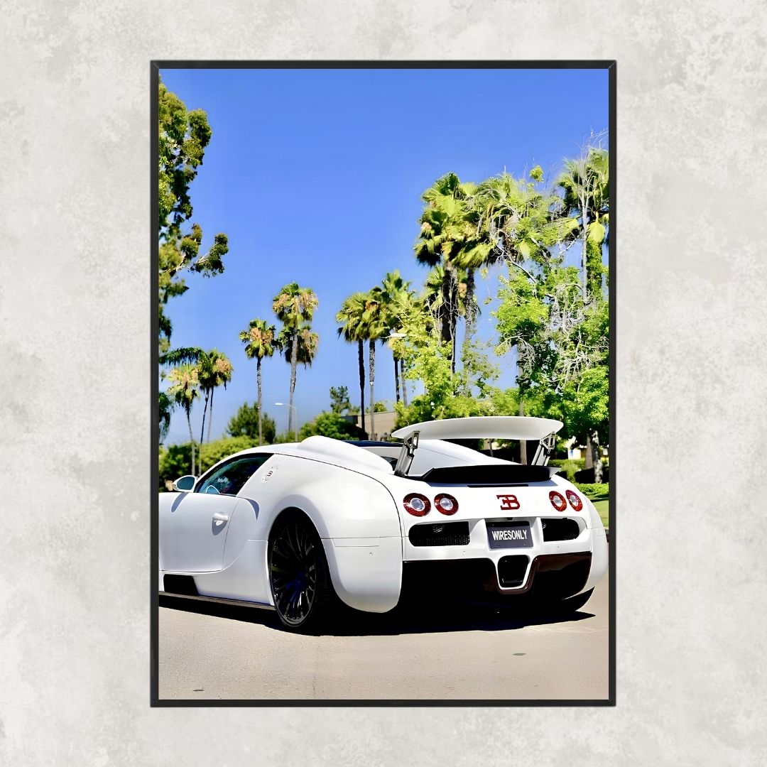 Bugatti Veyron White - Gallery