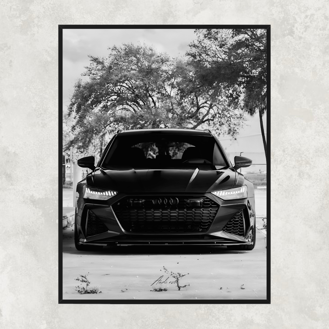 Audi RS6 C8 Black & White - Old money
