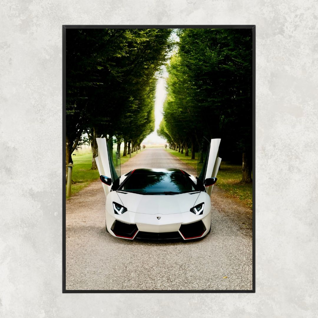 Lamborghini Aventador Path - Gallery