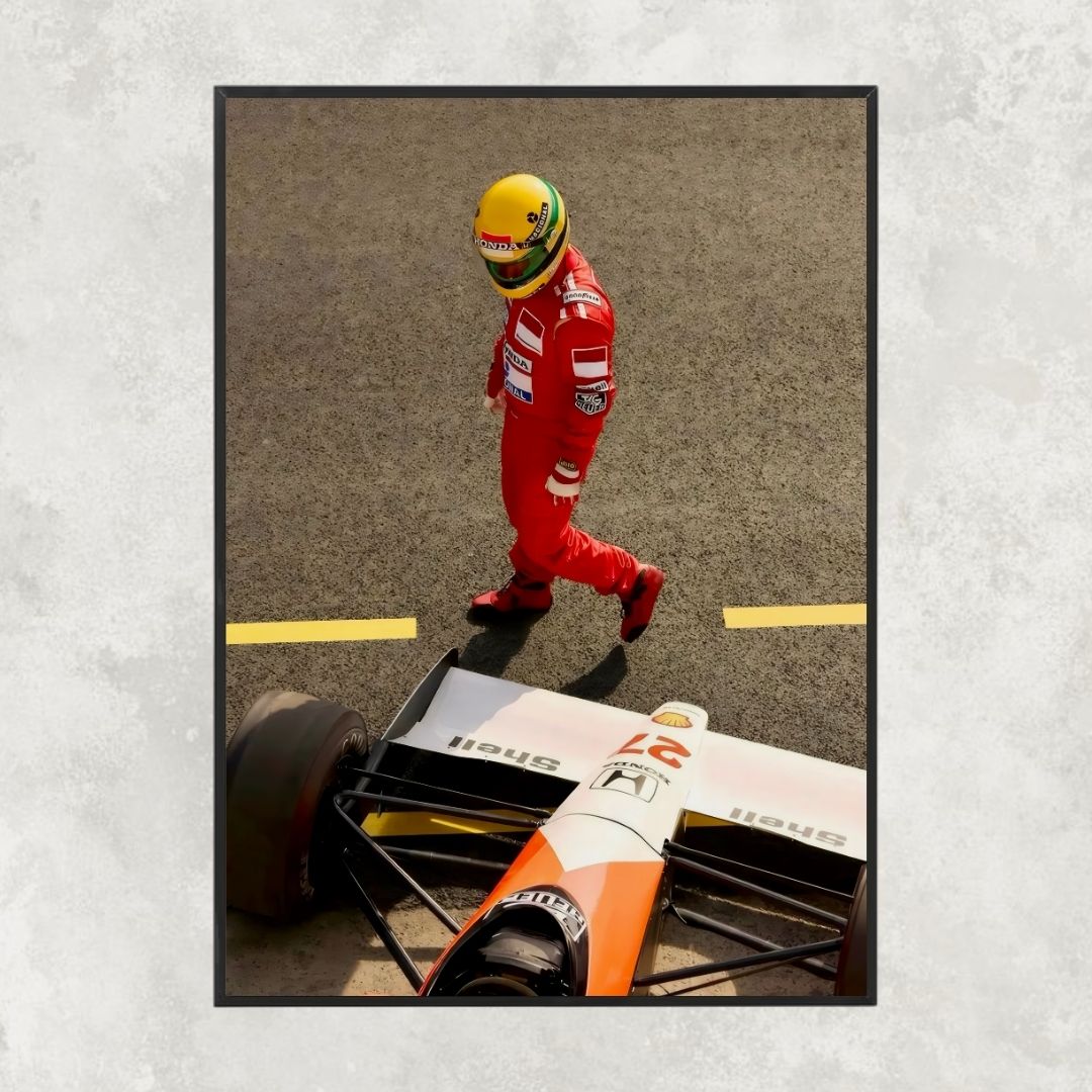 Ayrton Senna Analizing - Gallery