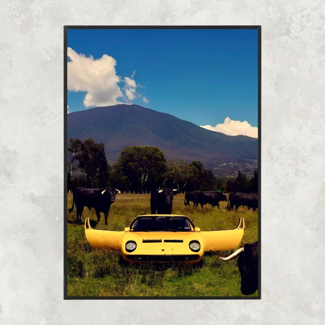 Lamborghini Miura Bulls - Old money
