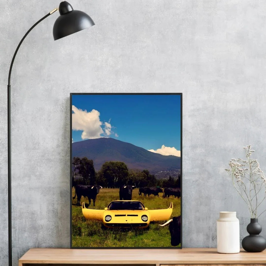 Lamborghini Miura Bulls - Gallery