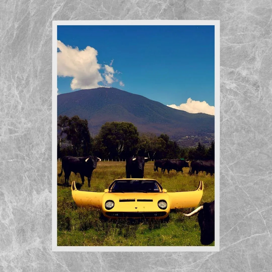 Lamborghini Miura Bulls - Gallery