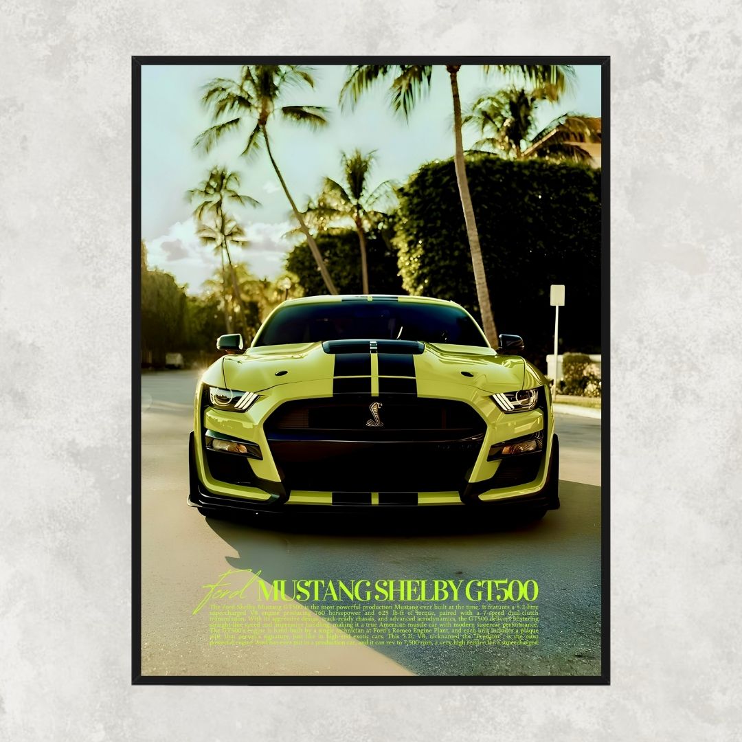 Ford Mustang Shelby GT500 - Old money