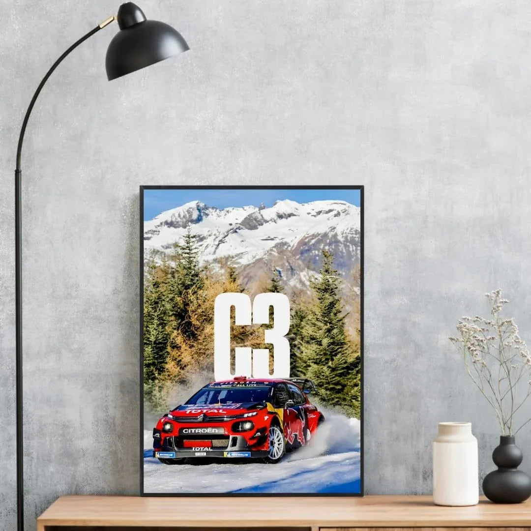 Citroën C3 Rallye Neige - Galerie