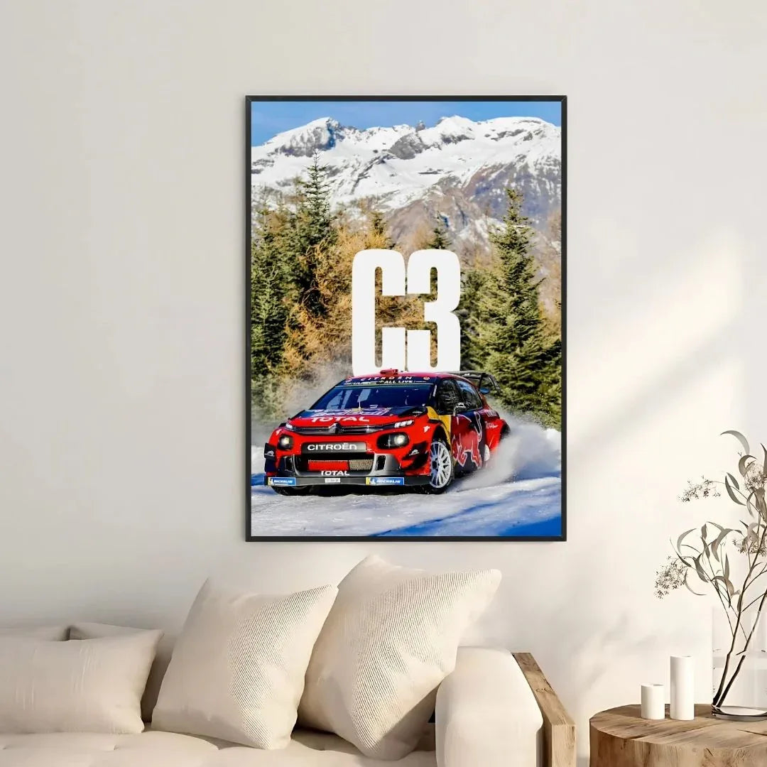Citroën C3 Rallye Neige - Galerie