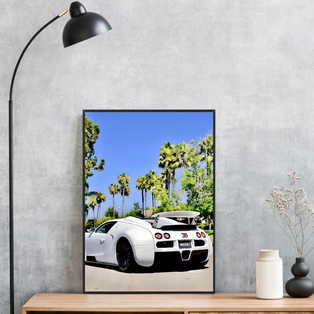 Bugatti Veyron White - Gallery