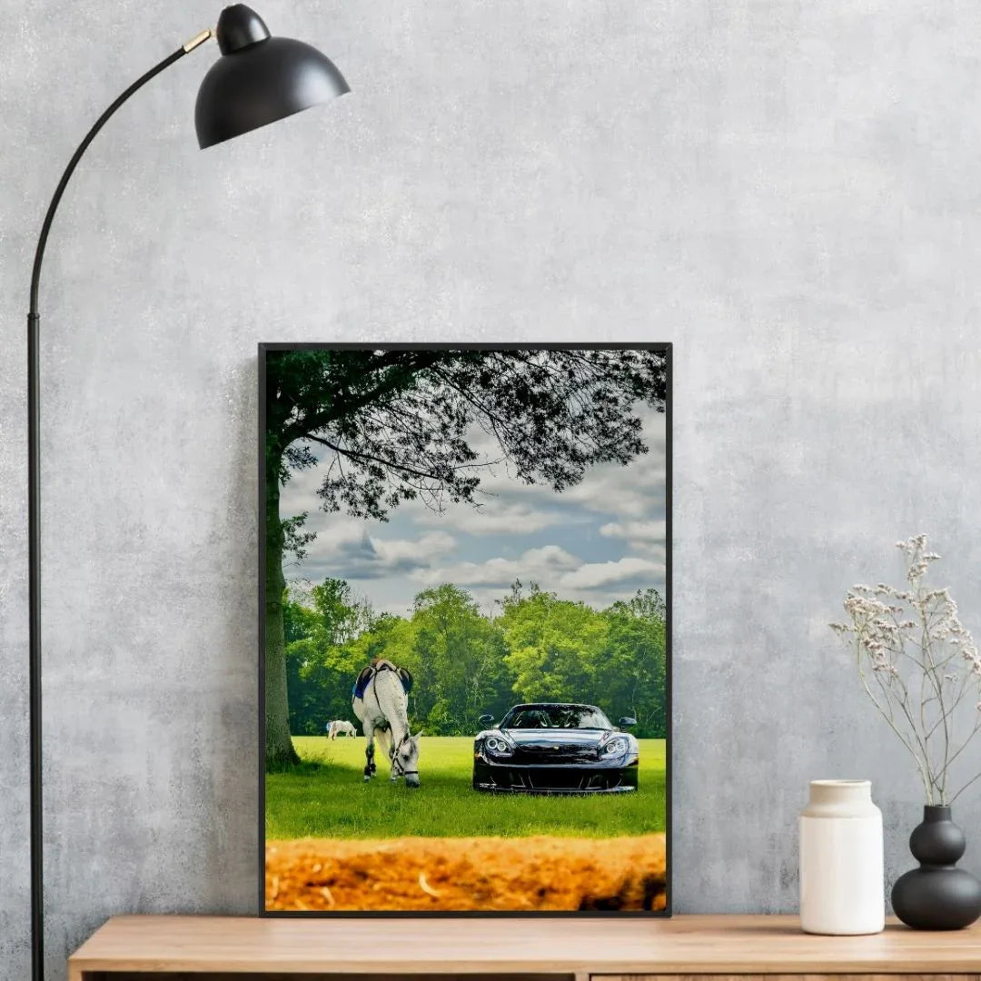 Porsche Carrera GT Horse - Gallery