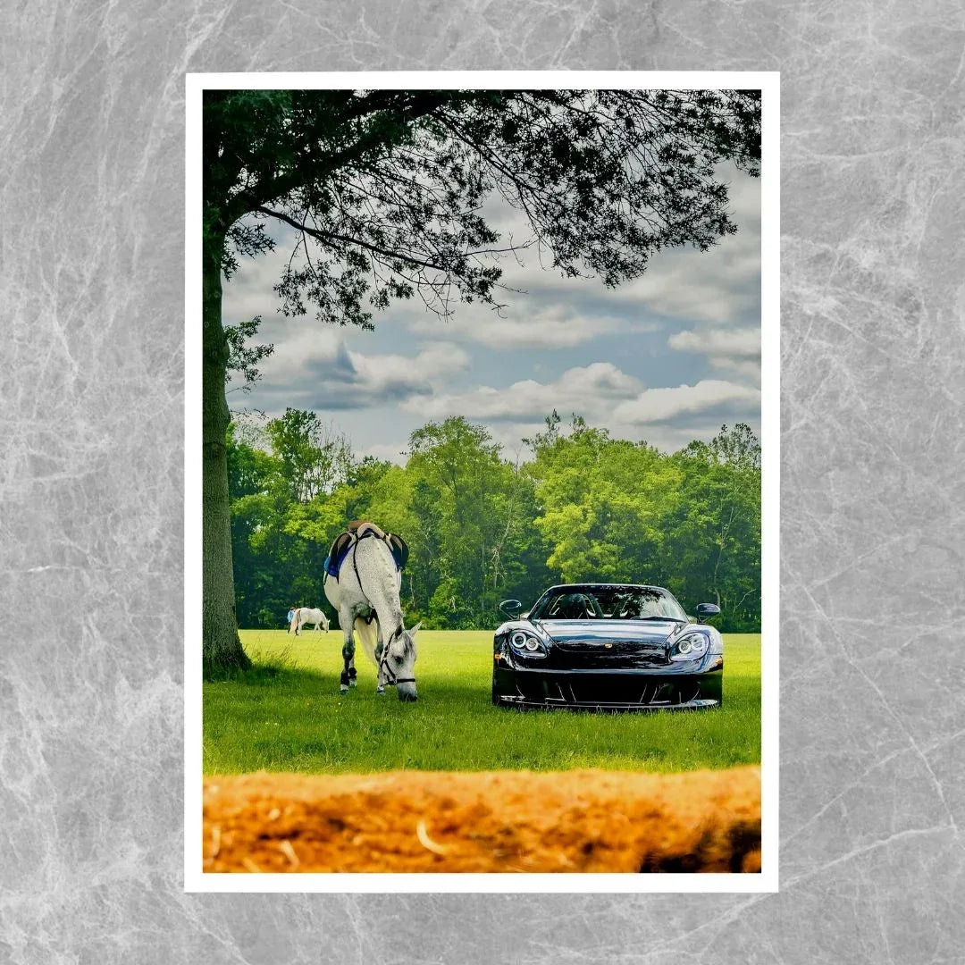 Porsche Carrera GT Horse - Gallery