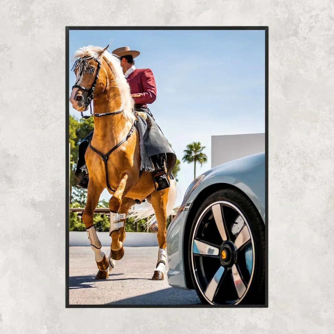 Porsche 911 Spanish Horse - Gallery