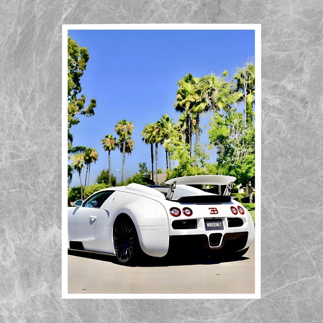 Bugatti Veyron White - Gallery