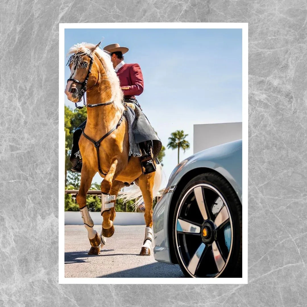 Porsche 911 Spanish Horse - Gallery