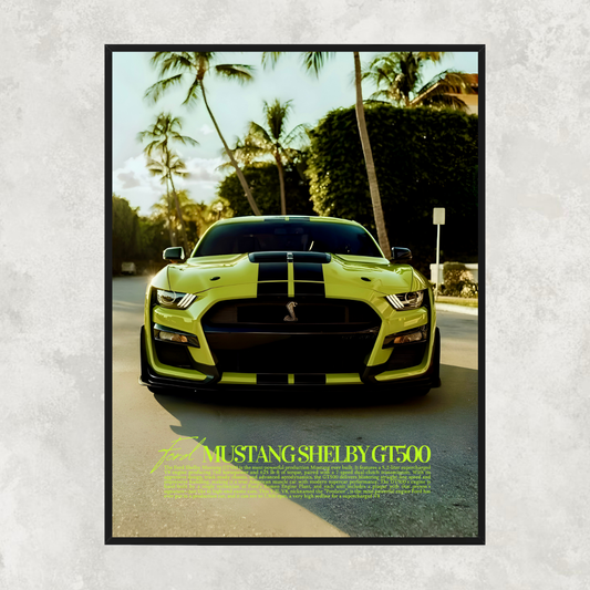Ford Mustang Shelby GT500 - Old Money