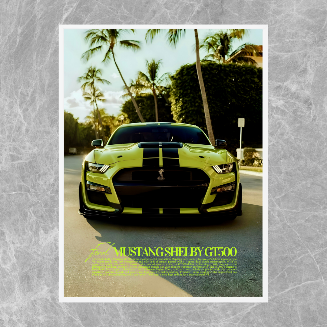 Ford Mustang Shelby GT500 - Old Money