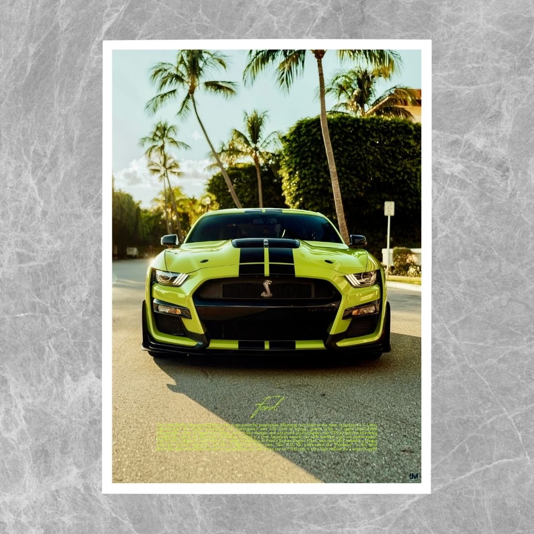 Ford Mustang Shelby GT500 - Gallery