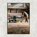 Ford Mustang Green Horse - Gallery