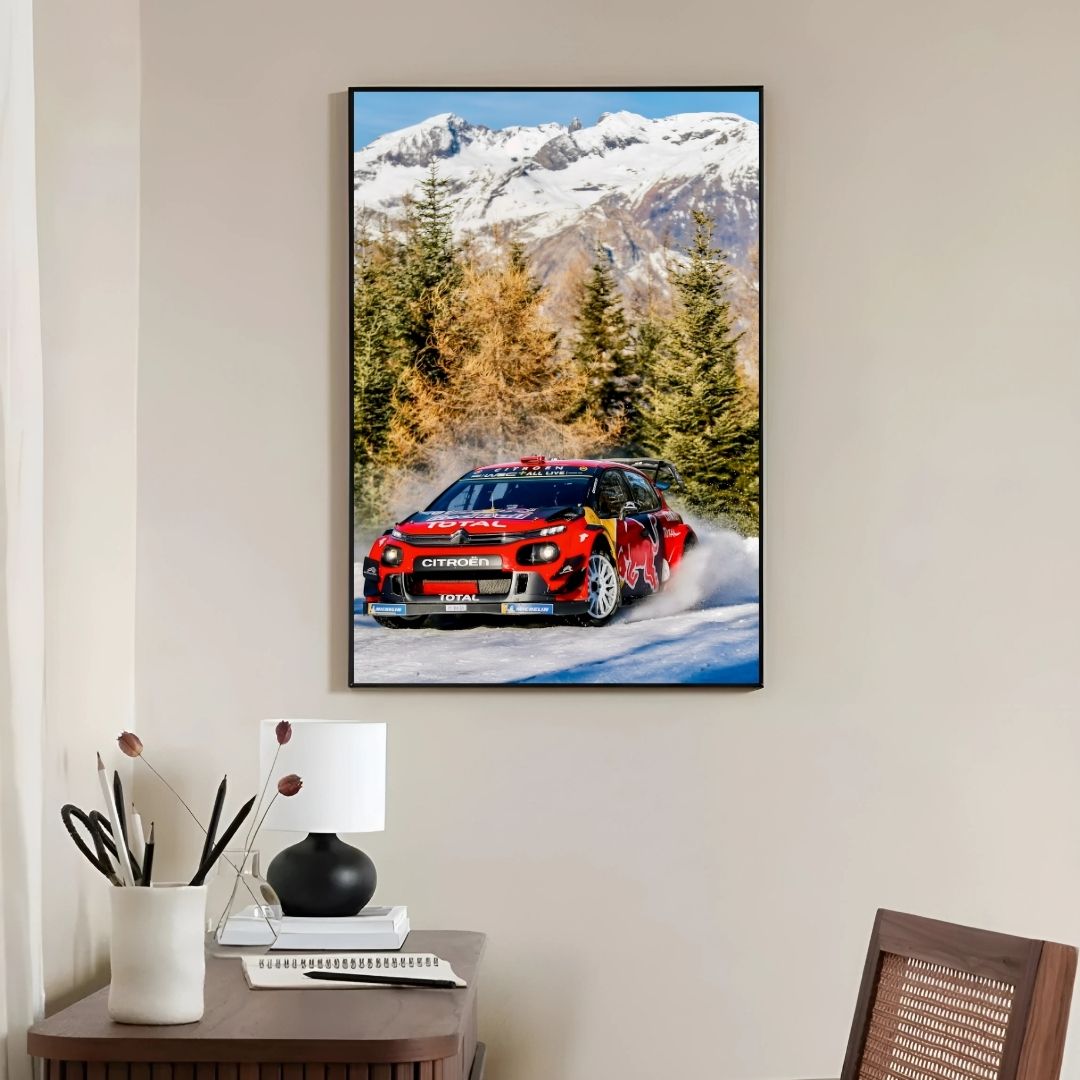 Citroën C3 Rally Snow - Gallery