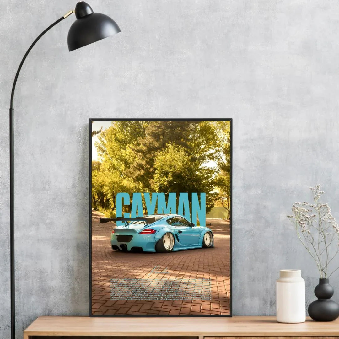 Porsche Cayman Pandem Side - Altes Geld