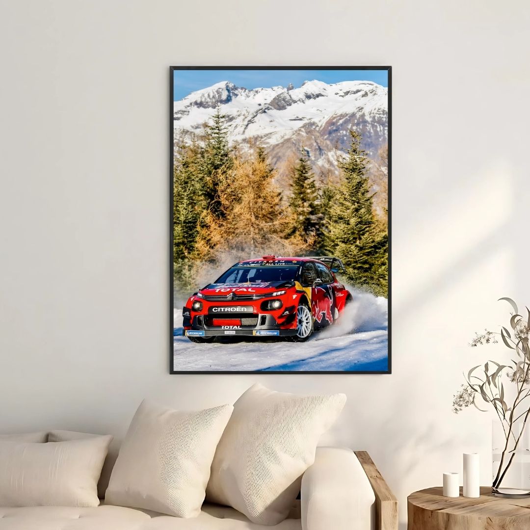 Citroën C3 Rally Snow - Gallery