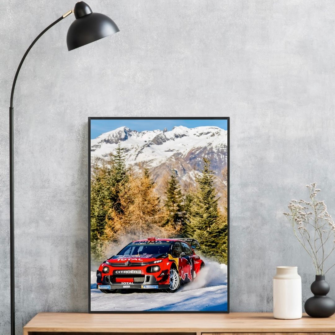 Citroën C3 Rally Snow - Gallery