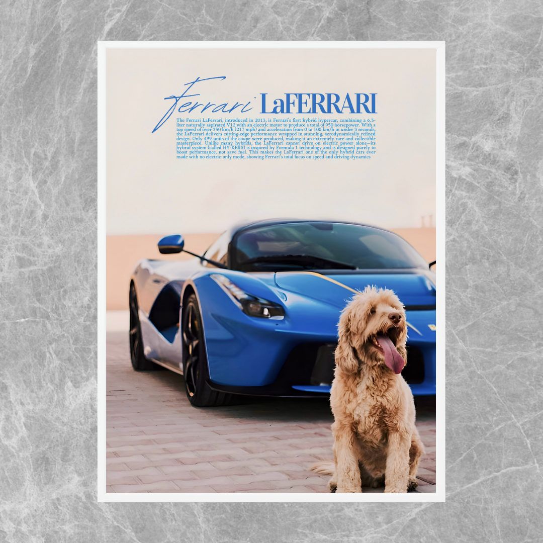 Ferrari LaFerrari Dog - Old Money