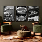 Niki Lauda's Helmet - Gallery