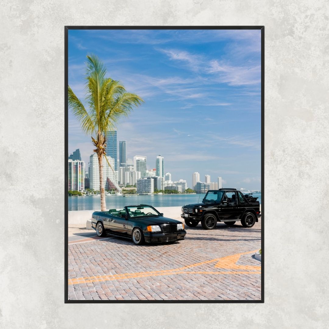 Mercedes Miami - Gallery