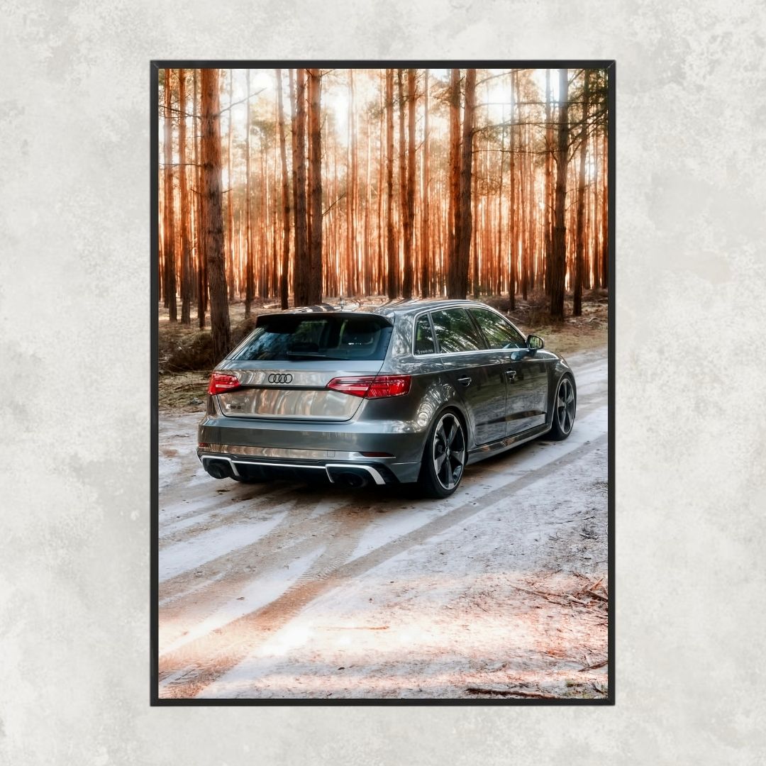 Audi RS3 8V Grey - Gallery