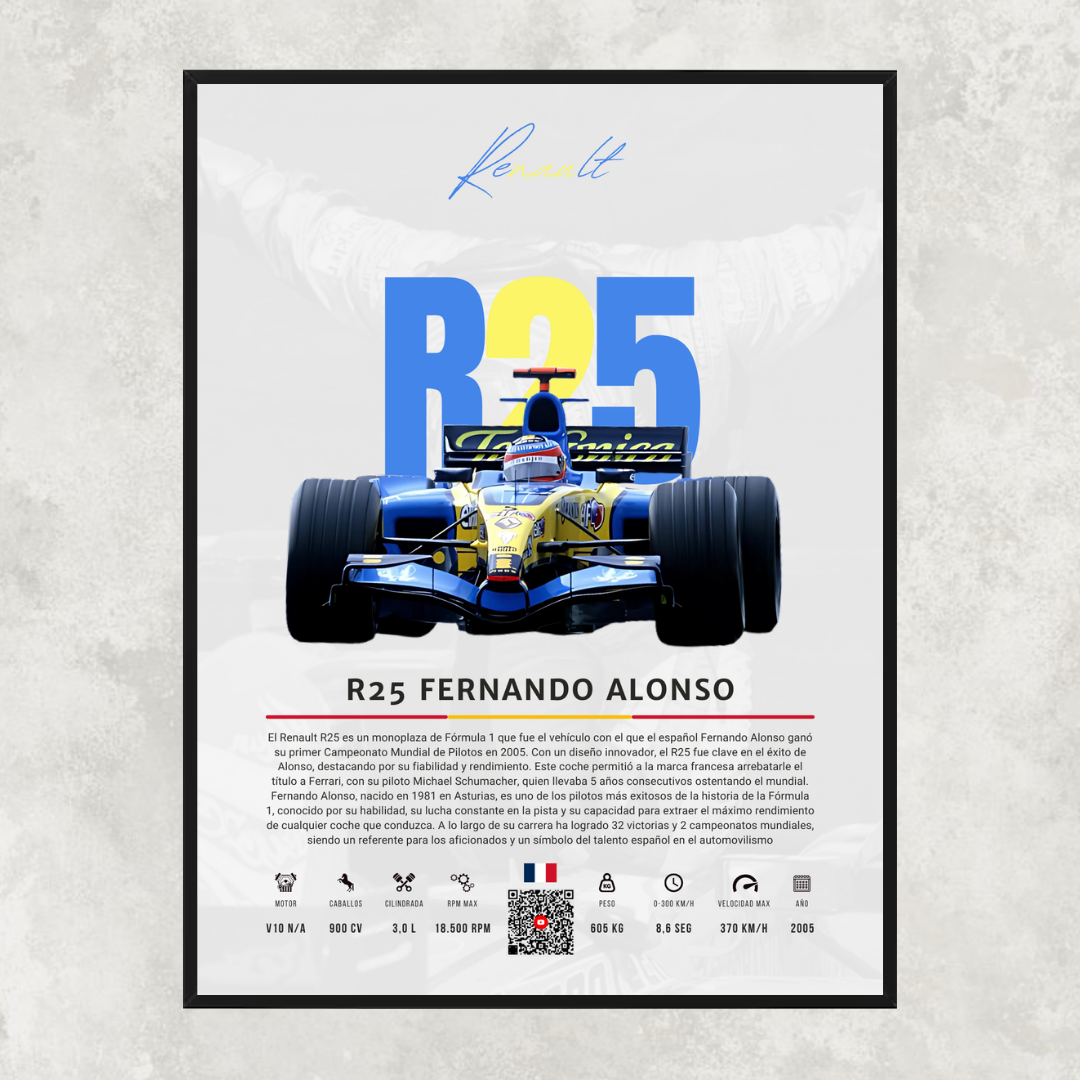 Renault R25 Fernando Alonso - Descriptive