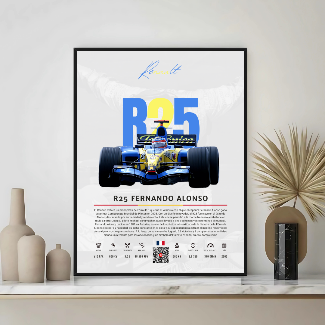 Renault R25 Fernando Alonso - Descriptive
