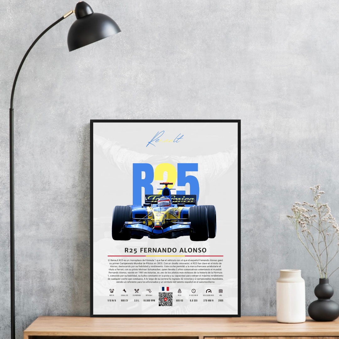 Renault R25 Fernando Alonso - Descriptive