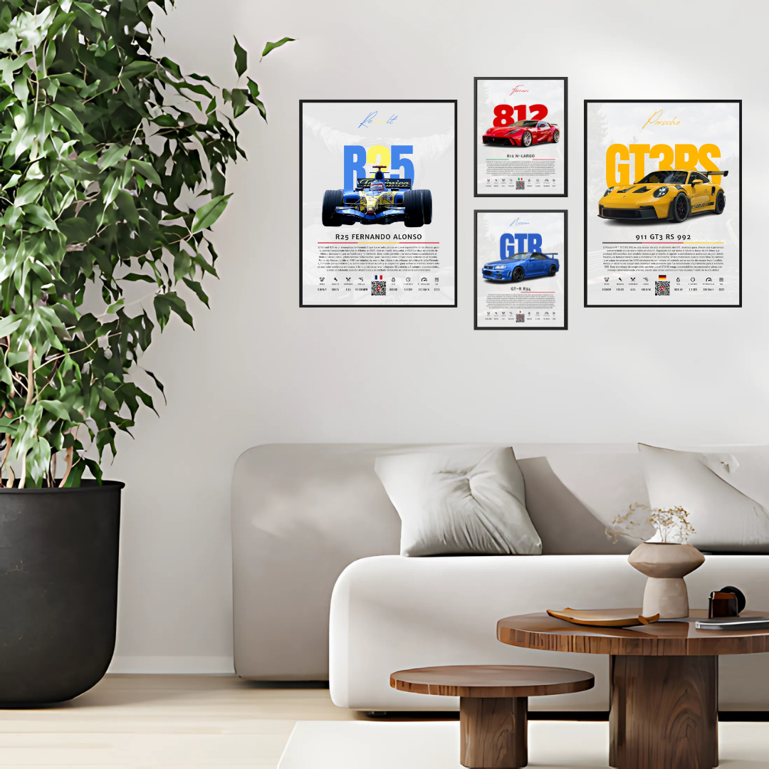 Renault R25 Fernando Alonso - Descriptive