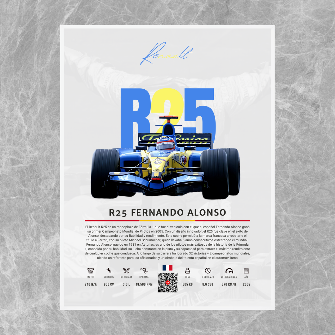 Renault R25 Fernando Alonso - Descriptive