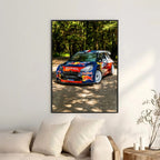 Citroën C3 Rally Front - Gallery